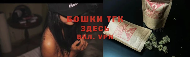 прущие крисы Костерёво