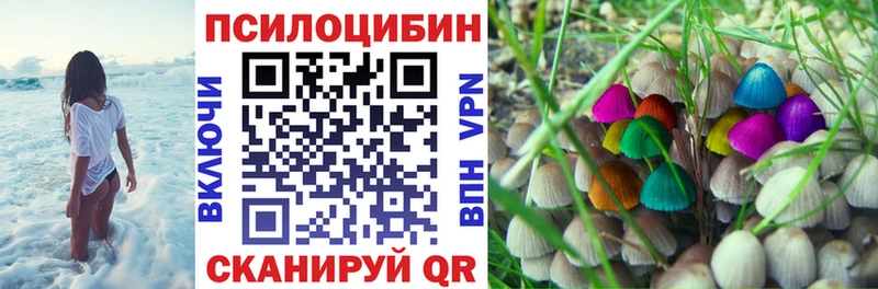 Галлюциногенные грибы мицелий  Купить закладки  Кремёнки 